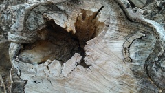 - Nokia Lumia 800 photogallery